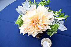 A RECEPTION TO REMEMBER